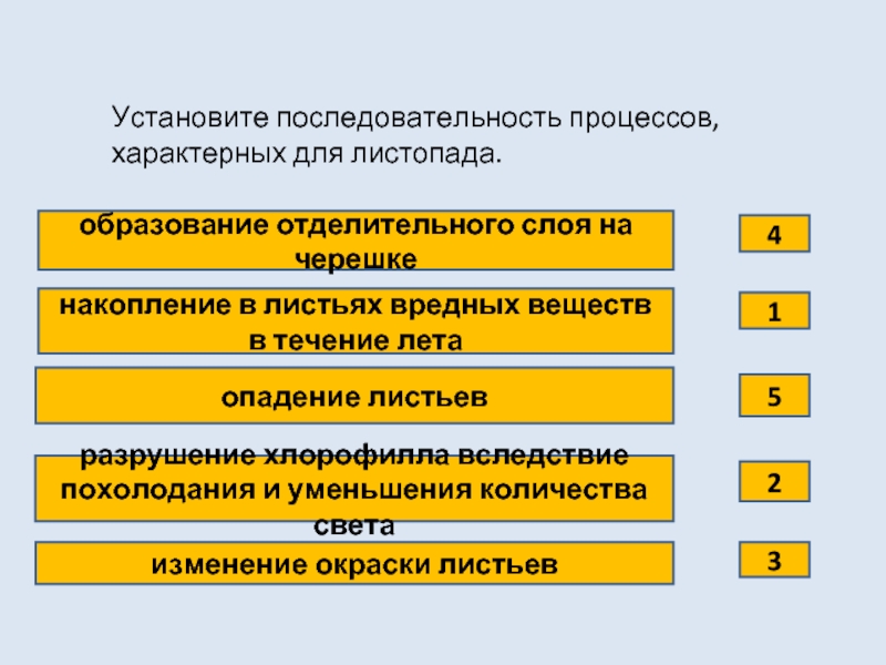 Верная последовательность процессов