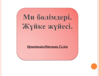 Ми бөлімдері. Жүйке жүйесі