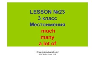 LESSON №233 классМестоимения muchmanya lot of