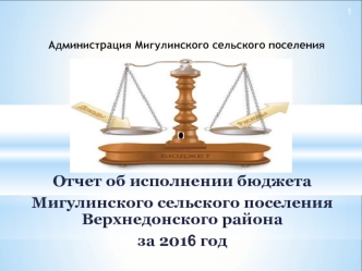 Отчет об исполнении бюджета Мигулинского сельского поселения Верхнедонского района за 2016 г