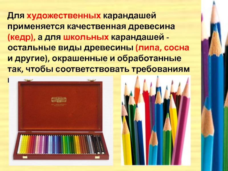 Для художественных карандашей применяется качественная древесина (кедр), а для школьных карандашей -
