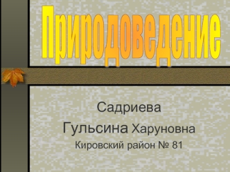 Садриева
Гульсина Харуновна
Кировский район № 81