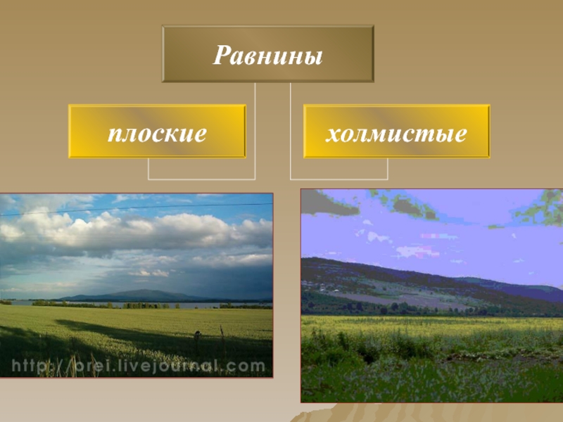 Примеры равнин в россии. Плоские и холмистые равнины. Плоская равнина. Равнины бывают плоские и холмистые. Холмистые и плоские равнины России.