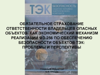 Обязательное страхование ответственности владельцев опасных объектов, как экономический механизм реализации ФЗ-256 по обеспечению безопасности объектов ТЭК: 
проблемы и перспективы