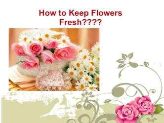 How to Keep Flowers Fresh????