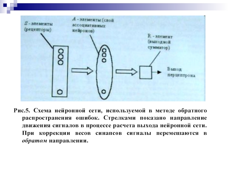 Презентация по теме нейронные сети