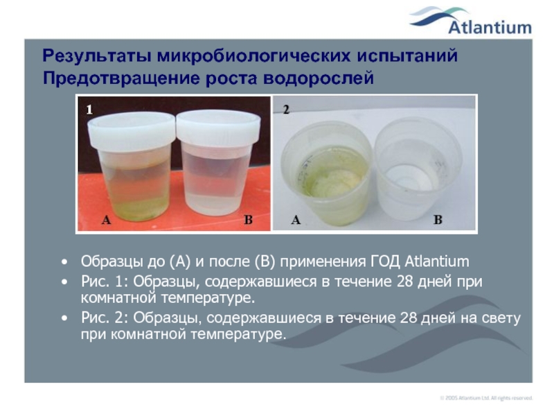 Результаты микробиологических испытаний Предотвращение роста водорослей Образцы до (A) и после (B) применения ГОД Atlantium Рис. 1: