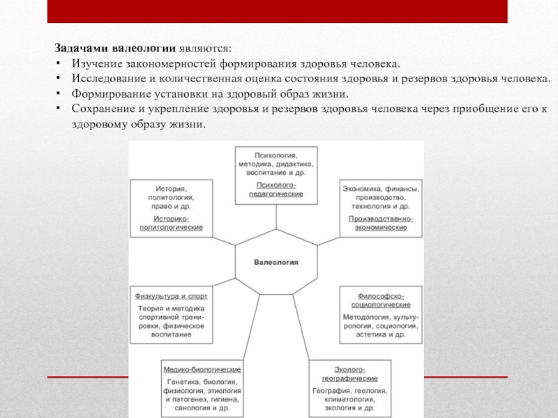 Наука изучающая закономерности развития. Задачами валеологии являются. Место валеологии в системе наук. Проблемы валеологии. Взаимосвязь валеологии с другими науками..