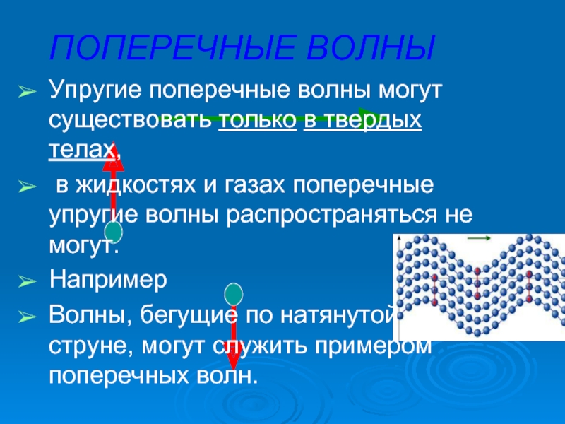 Продольные волны в твердых телах. Упругие волны в твердых телах. Упругие поперечные волны. Поперечные волны в твердых телах. Упругие волны в газах жидкостях и твердых телах.