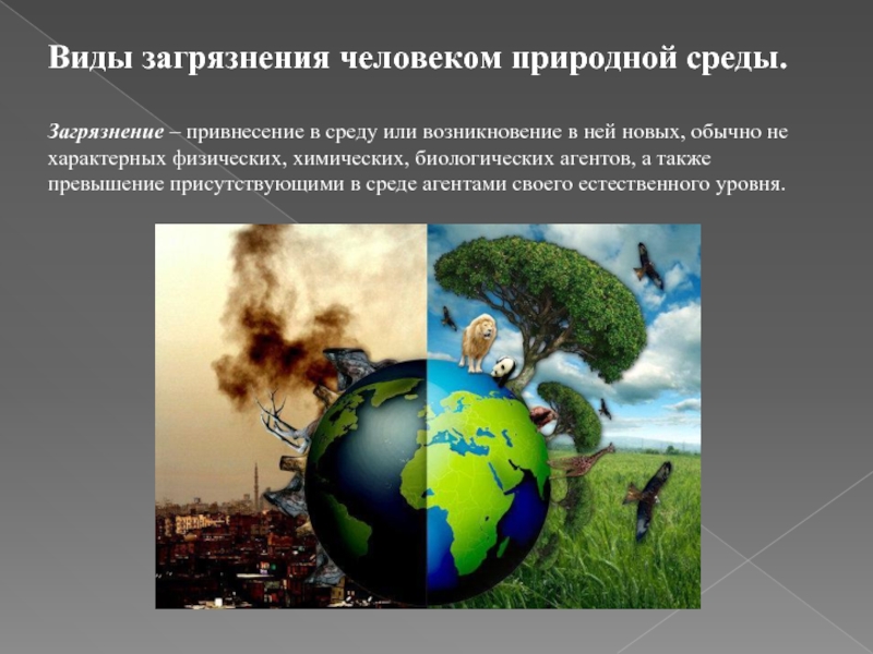 Earth is dying. Привнесение в окружающую среду или возникновение новых. Land Soil pollution. Land pollution. Types of pollution.