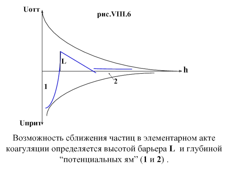 Uотт Uприт h  1 2 L рис.VIII.6 Возможность сближения частиц в элементарном акте коагуляции определяется высотой