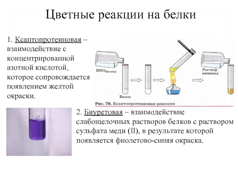 Реакция фоля презентация