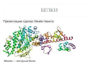 Белки. Строение