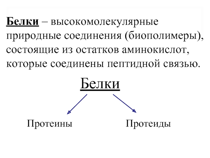 Белки биополимеры