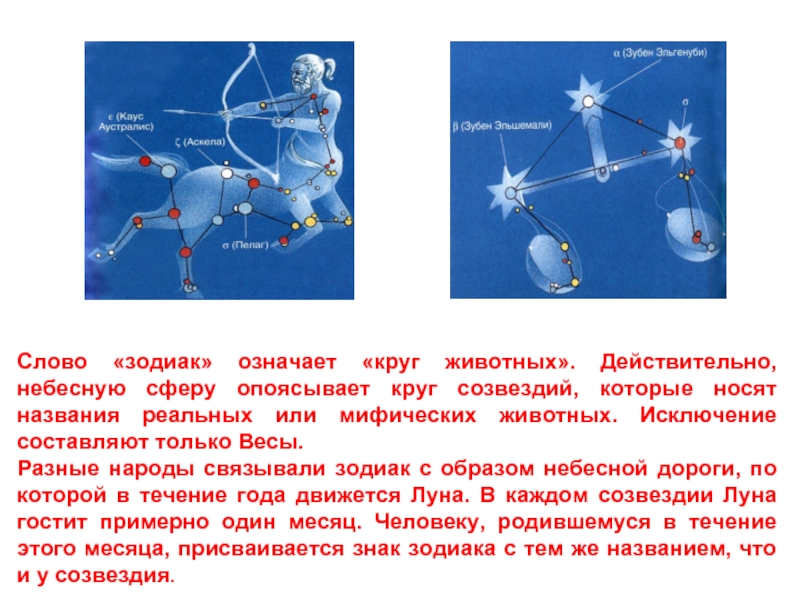 Созвездия зодиаков презентация