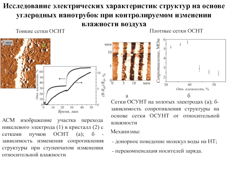 Для изучения электрических свойств стержней изготовленных. Электрическое исследование. Электрические свойства углеродных нанотрубок. АСМ-изображения полупроводниковых наноструктур. Структурные характеристики график.