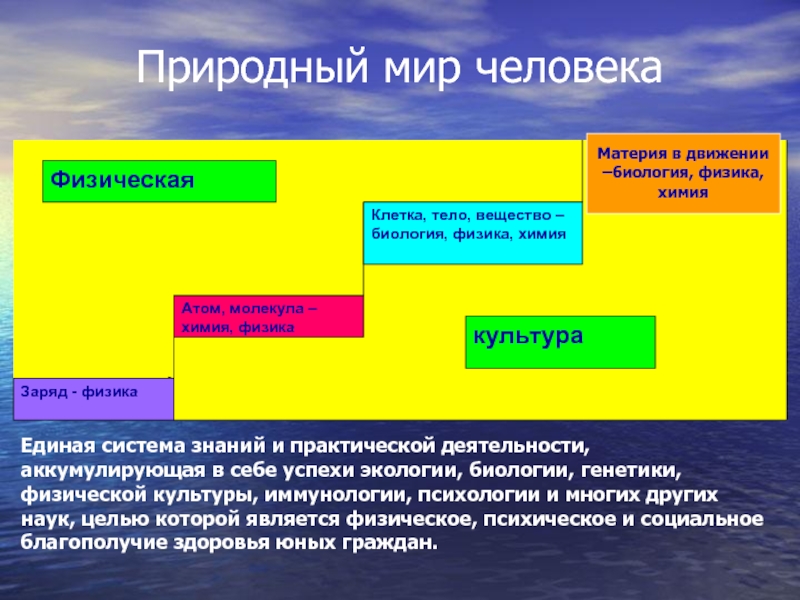 Биологические движения. Движение материи. Материя человека. Понятие о материи и движении в химии. МАТЕРИЯВ биологии.