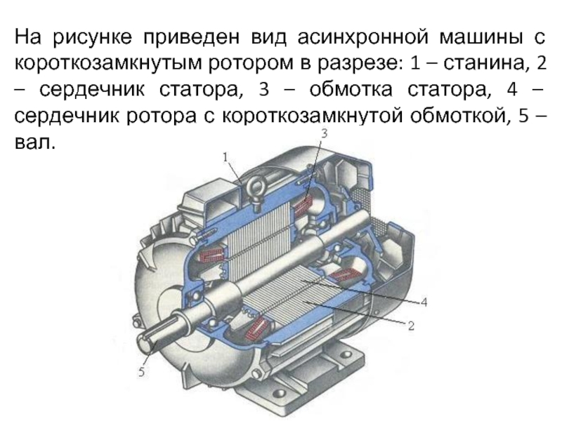 Асинхронной машине с короткозамкнутым ротором соответствует схема