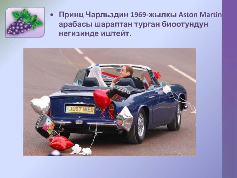 Принц Чарльздин 1969-жылкы Aston Martin арабасы шараптан турган биоотундун негизинде иштейт.