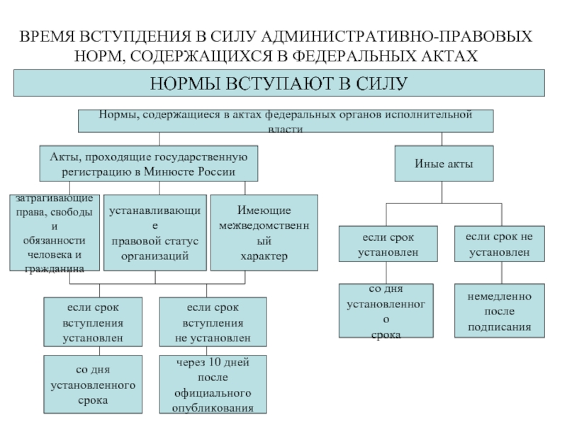 Административно правовые нормы презентация