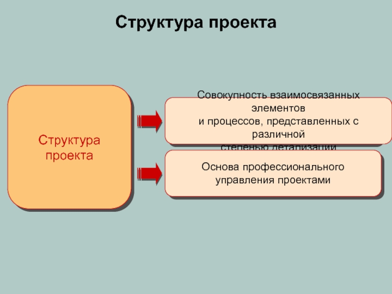 Структура проекта Структура проекта Совокупность взаимосвязанных элементов и процессов, представленных с различной