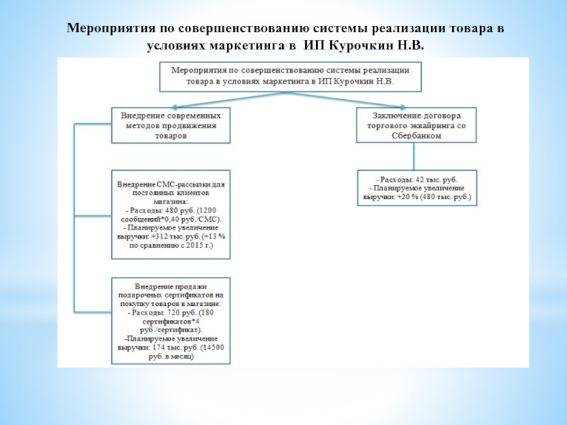 Мероприятия по совершенствованию системы реализации товара в условиях маркетинга в ИП Курочкин Н.В.