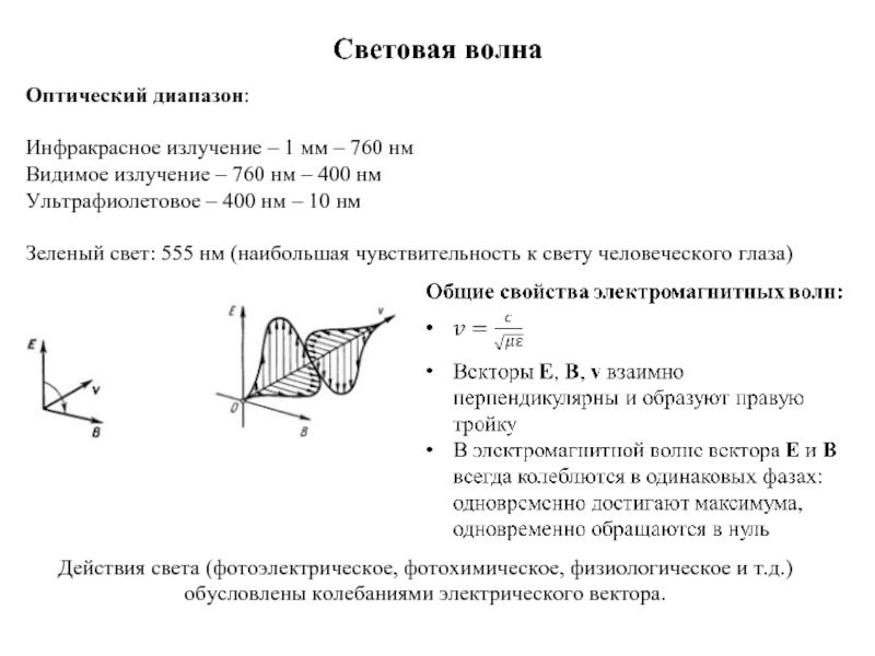 Световая волна это. Характеристики световой волны. Основные параметры световой волны. Основные параметры характеристики световой волны. Свойства световых волн.