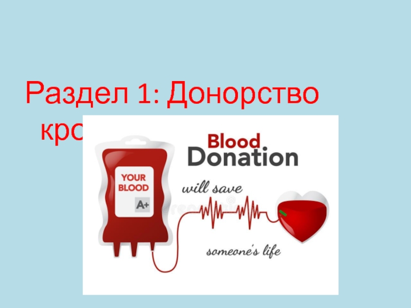 Донорство Крови Реферат