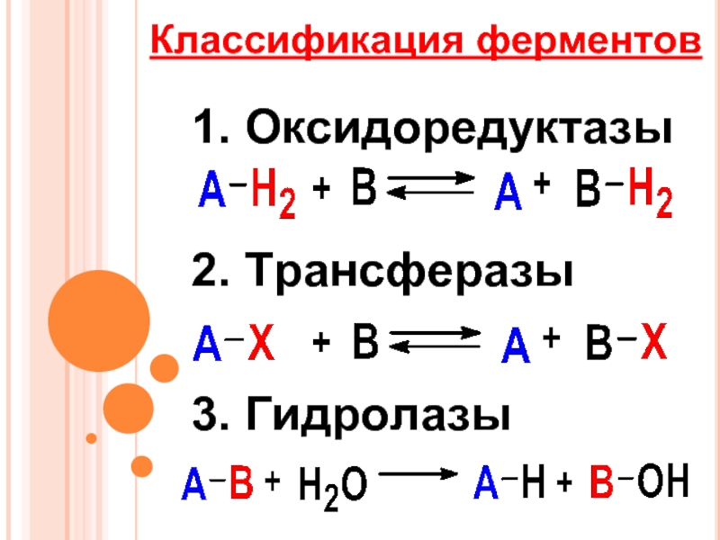 Классификация ферментов картинки