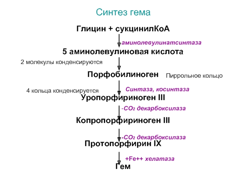 Синтезом называется. Синтез гема. Синтез глицина. Синтез гема из глицина. Синтез Гемма.