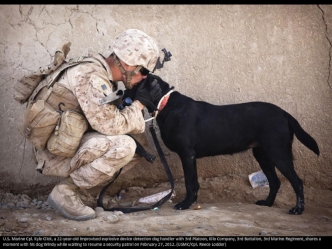 U.S. Marine Cpl. Kyle Click, a 22-year-old improvised explosive device detection dog handler with 3rd Platoon, Kilo Company, 3rd Battalion, 3rd Marine Regiment, shares a moment with his dog Windy while waiting to resume a security patrol on February 27, 2