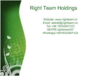 Right Team Holdings. New products list