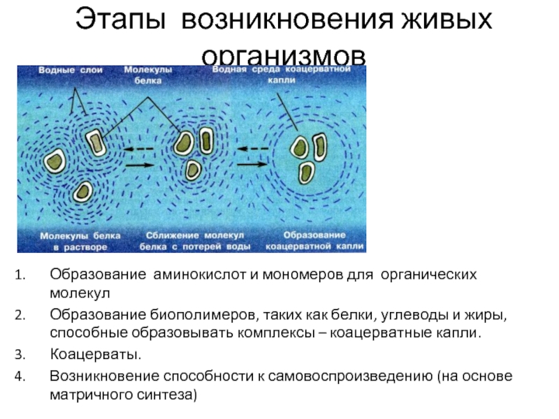 Современные представления о возникновении жизни на земле 9 класс презентация