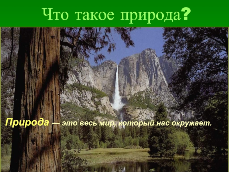 Что такое природа 5 класс. Природа это определение. Что такое природа кратко. Природа краткое определение. Природа это простыми словами.