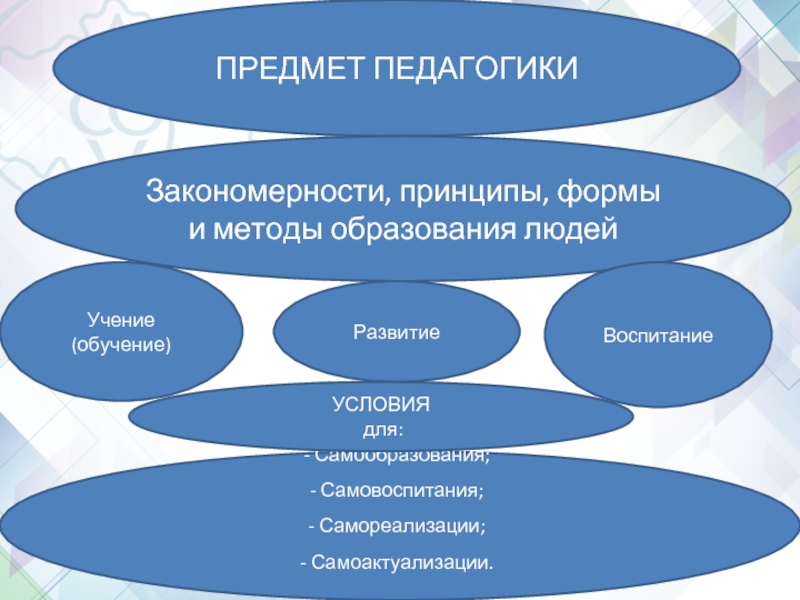 Функции предметов. Предмет и методы педагогики презентация.