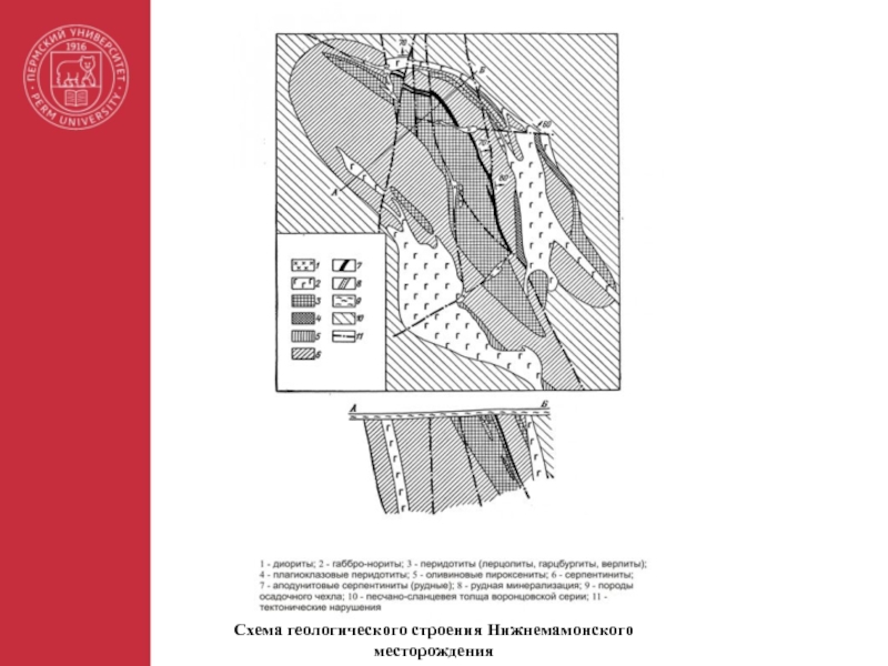 Схема геологического строения Нижнемамонского месторождения