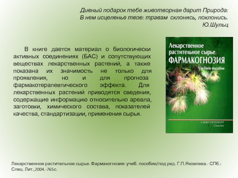 Быть твоей травой. Фармакогнозия Яковлев. Учебник по фармакогнозии. Анализ лекарственных растений. Картотека травянистых растений.