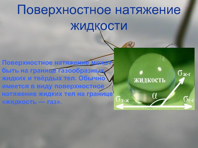 Суть поверхностного натяжения. Поверхностное натяжение. Поверхностное натяжение жидкости. Сила поверхностного натяжения жидкости. Поверхностное натяжение на границе жидкость-жидкость.