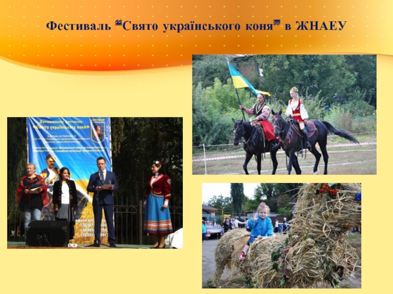 Фестиваль “Свято українського коня” в ЖНАЕУ