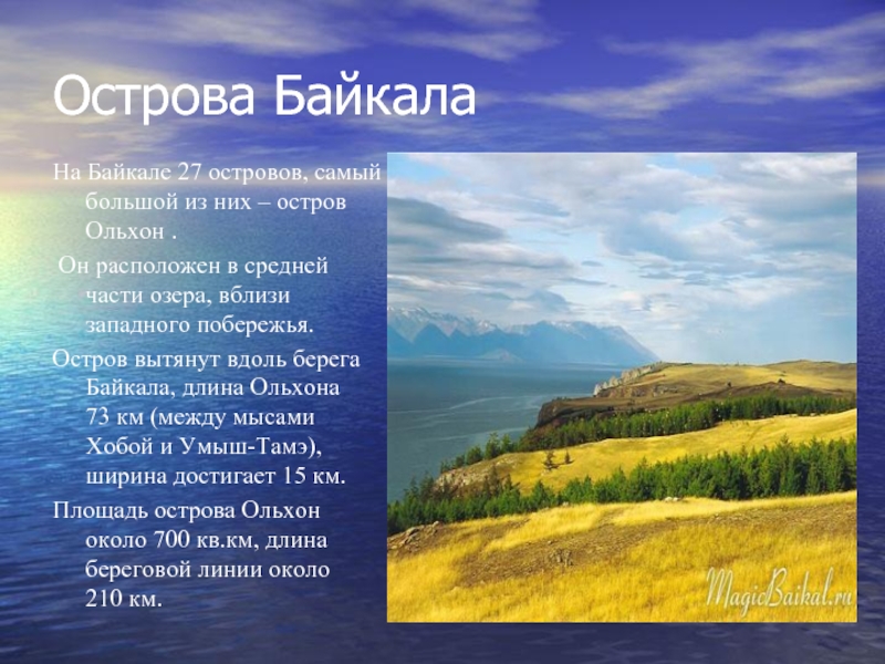 Острова Байкала На Байкале 27 островов, самый большой из них – остров Ольхон .  Он расположен