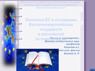 Политика ЕС в отношении 
Восточноевропейских государств
в российской историографии