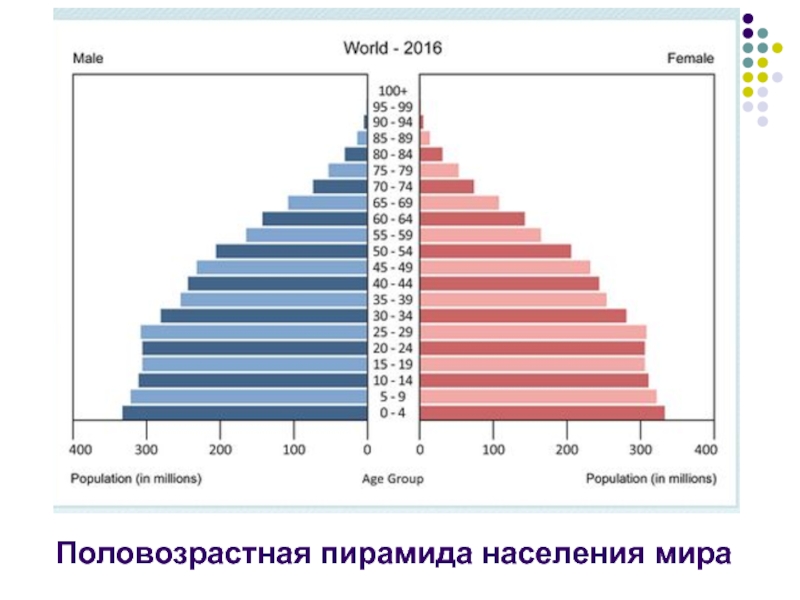 Сравните показания пирамид на рисунке 90 какие изменения в половозрастном составе населения россии