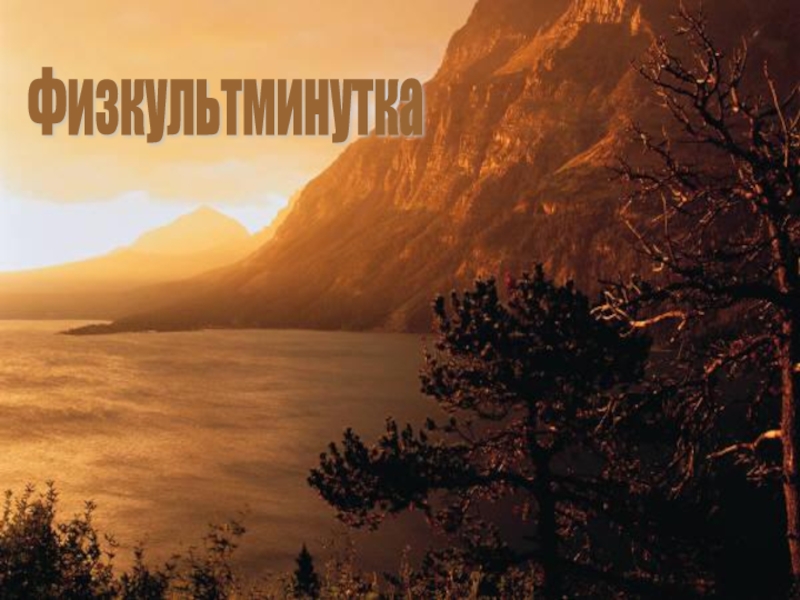 Физкультминутка