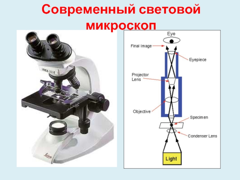 Какое увеличение у цифрового микроскопа. Световой микроскоп. Световой и электронный микроскоп. Микроскоп простой. Современный оптический микроскоп.
