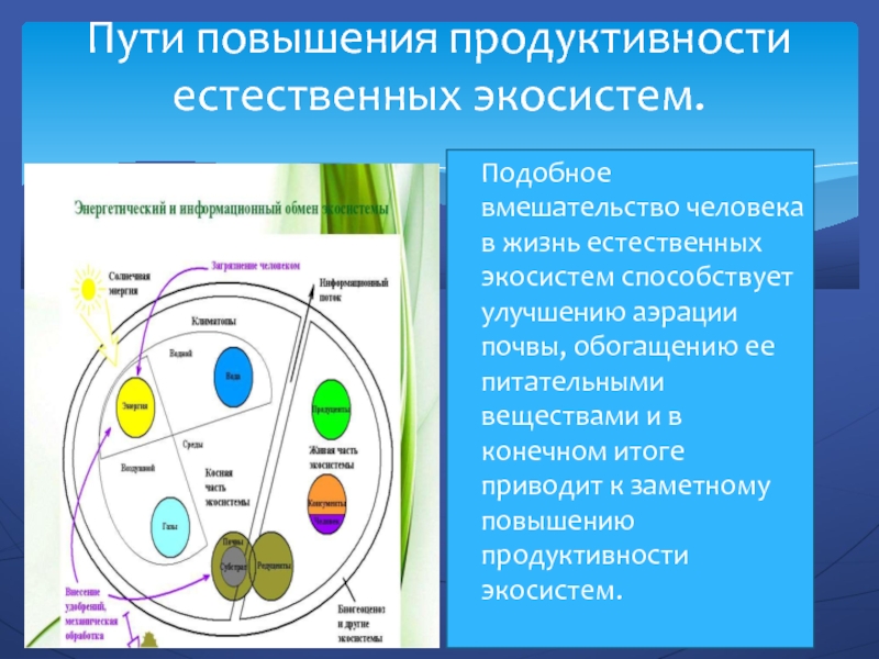 Развитие экосистем естественное