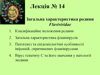 Загальна характеристика родини Flaviviridae