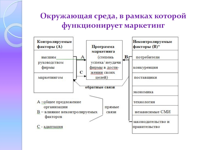 Среда предприятия в рамках которого осуществляется проект