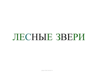 ЛЕСНЫЕ ЗВЕРИ