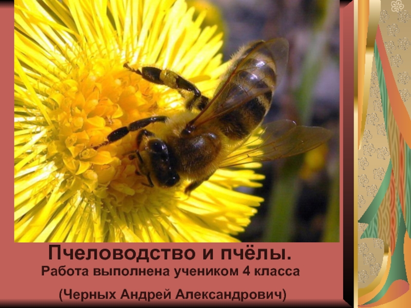 Реферат: Пчелы