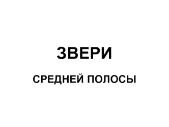 ЗВЕРИ